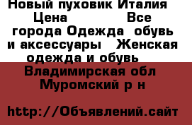 Новый пуховик Италия › Цена ­ 11 500 - Все города Одежда, обувь и аксессуары » Женская одежда и обувь   . Владимирская обл.,Муромский р-н